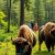 Białowieża z dzieckiem i żubrami: jak zaplanować bezpieczną i edukacyjną wycieczkę rodzinną